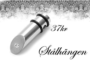 Halsband online gjorda i kirurgiskt st�l!