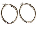 Örhängen på nätet. Längd cirka 37 mm, bredd cirka 26 mm.